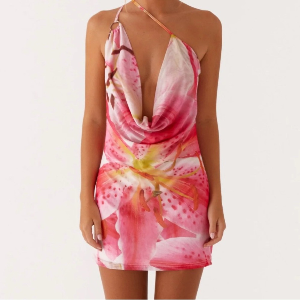 Peppermayo Bohemian Bliss Mesh Mini Dress